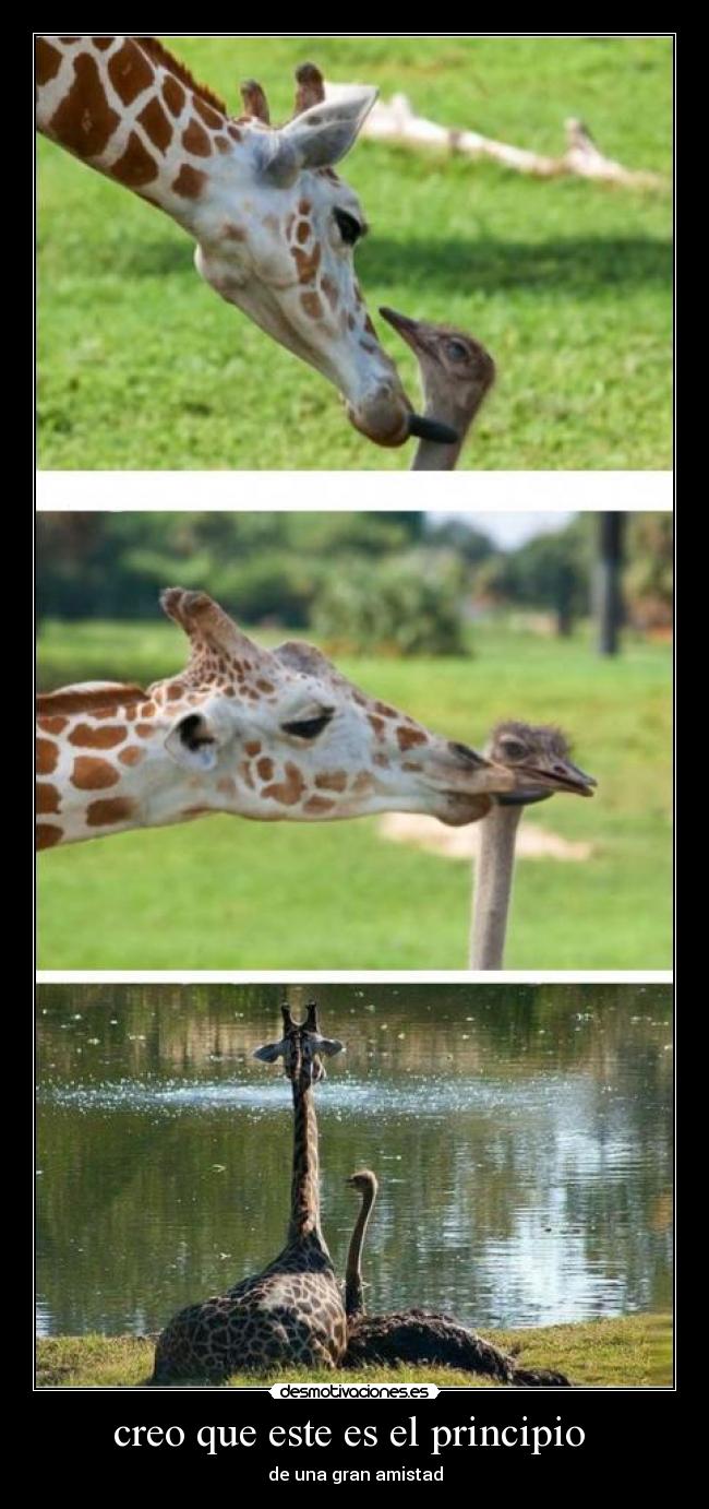 creo que este es el principio  - de una gran amistad