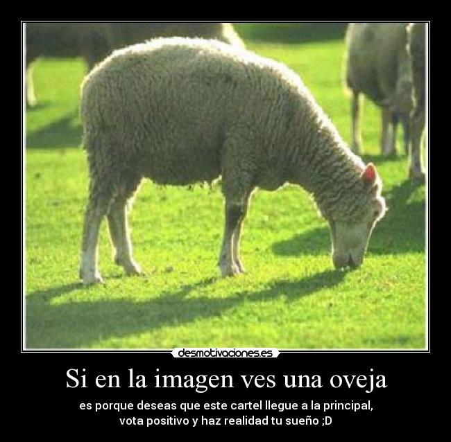 Si en la imagen ves una oveja -