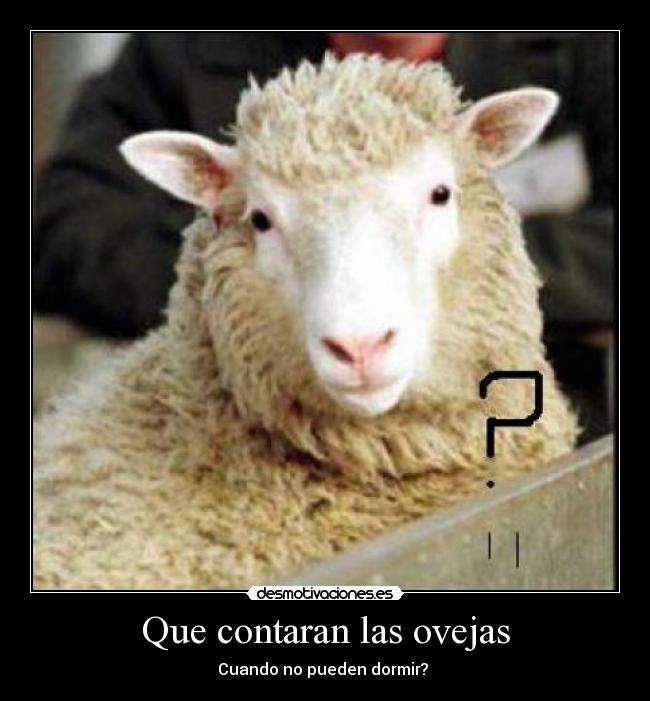 Que contaran las ovejas -