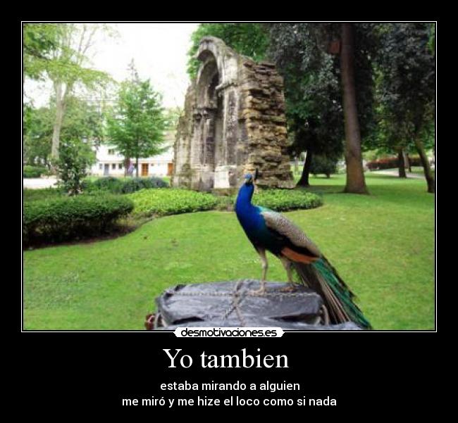 Yo tambien  - 