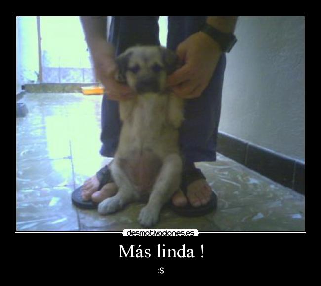 carteles mas linda desmotivaciones