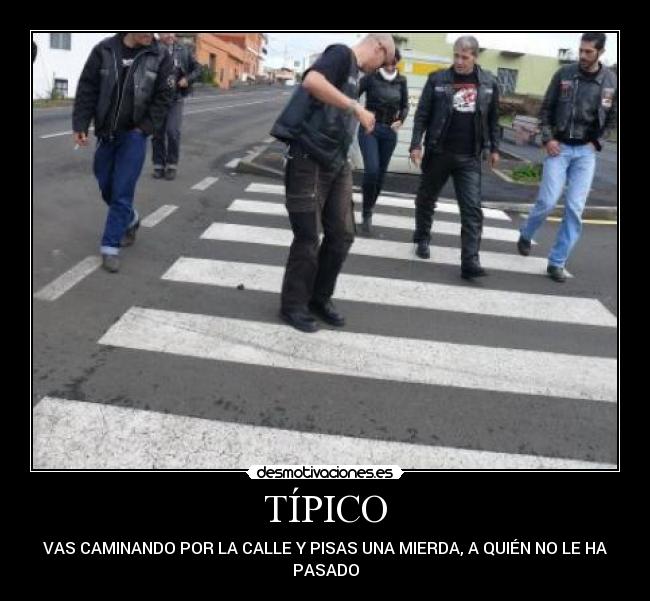 TÍPICO -
