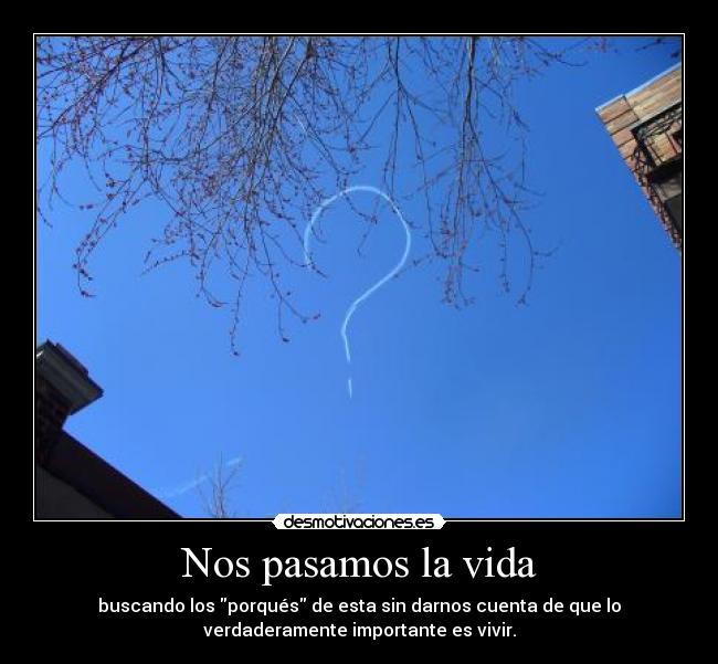 carteles vida nos pasamos vida preguntandonos porques verdaderamente importa vivir vive dia wolfri desmotivaciones