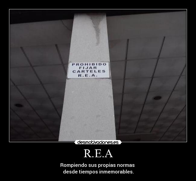 R.E.A - Rompiendo sus propias normas 
desde tiempos inmemorables.