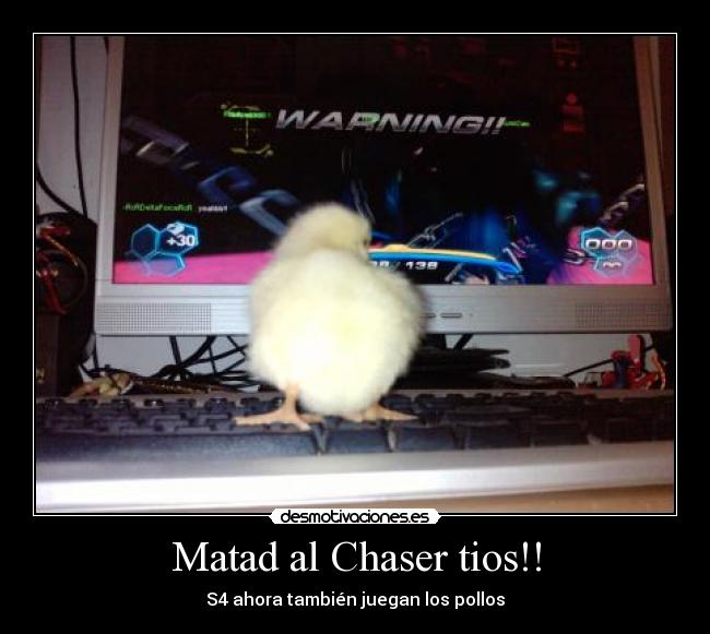 Matad al Chaser tios!! - S4 ahora también juegan los pollos