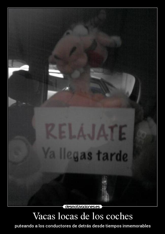 Vacas locas de los coches - puteando a los conductores de detrás desde tiempos inmemorables