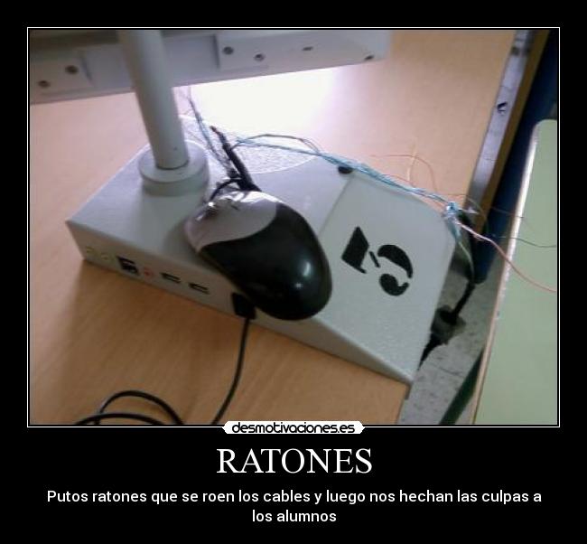 RATONES - Putos ratones que se roen los cables y luego nos hechan las culpas a los alumnos