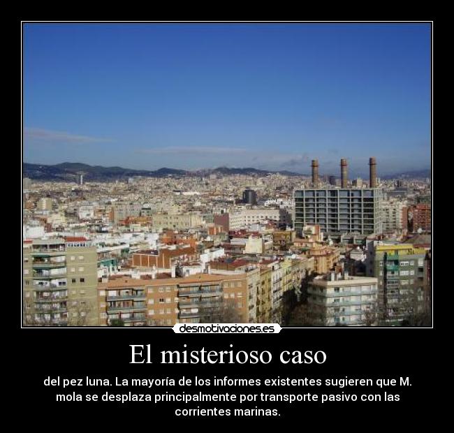 El misterioso caso - del pez luna. La mayoría de los informes existentes sugieren que M.
mola se desplaza principalmente por transporte pasivo con las
corrientes marinas.