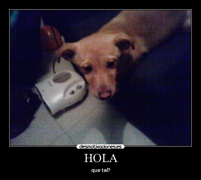 HOLA -