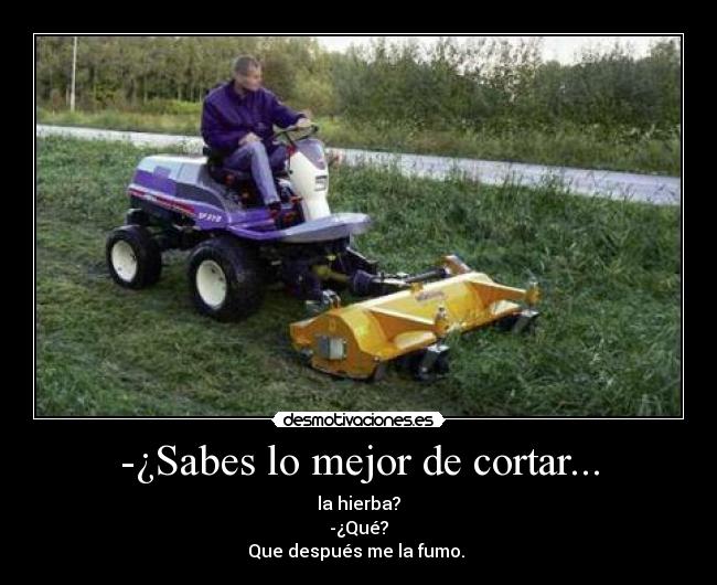 -¿Sabes lo mejor de cortar... - 