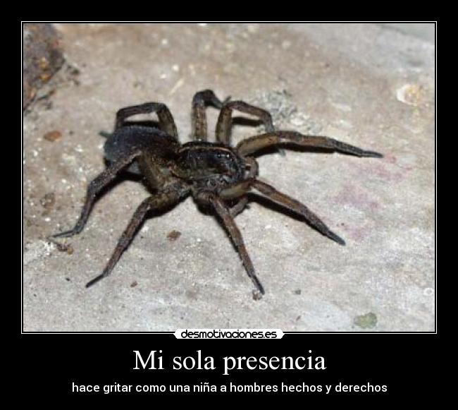 Mi sola presencia - 