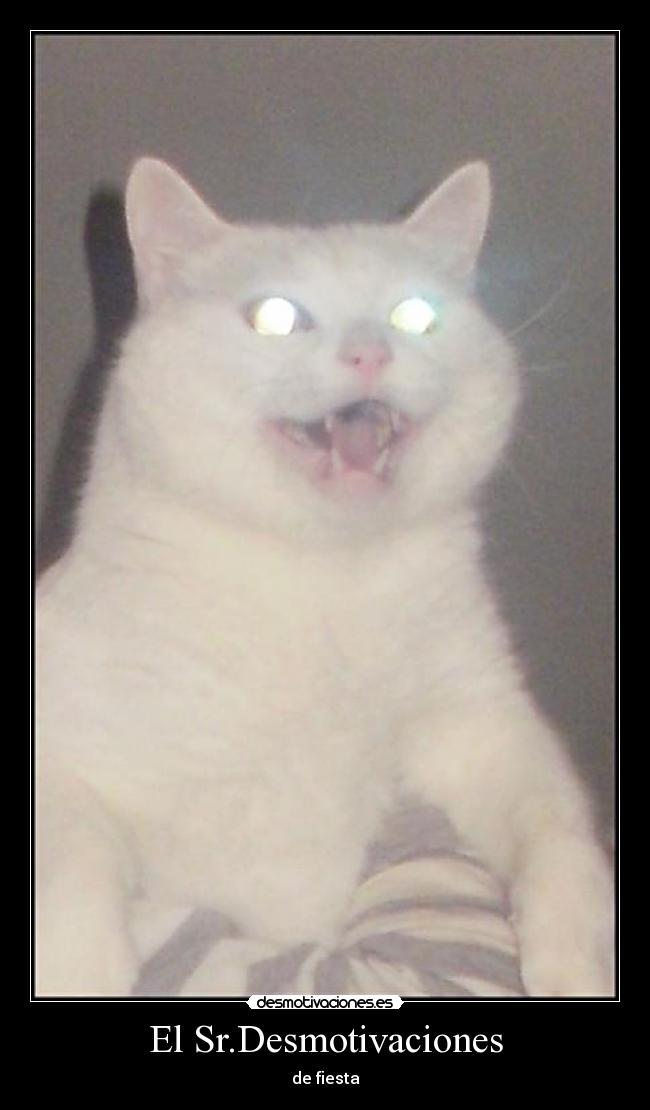 El Sr.Desmotivaciones - de fiesta