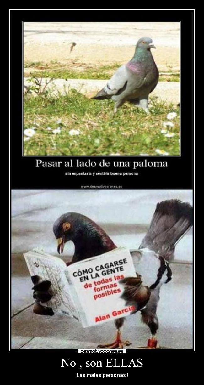 No , son ELLAS - Las malas personas !