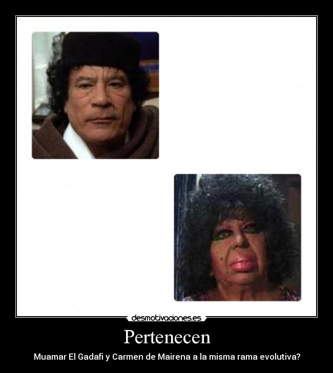 Pertenecen - 