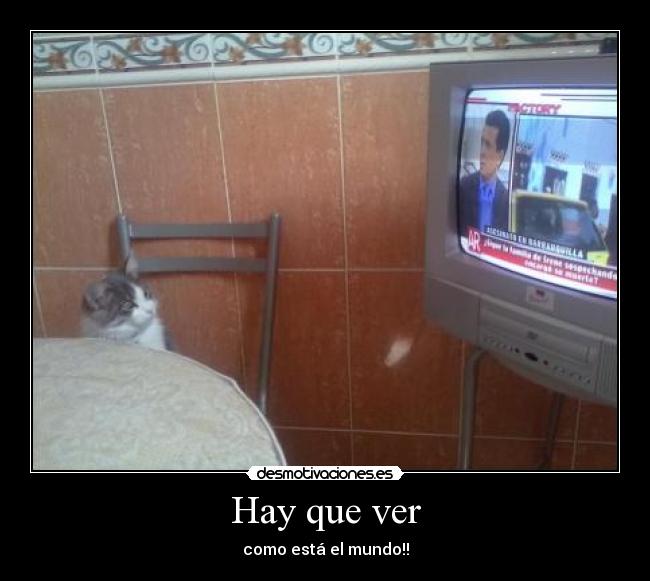 carteles comico desmotivaciones