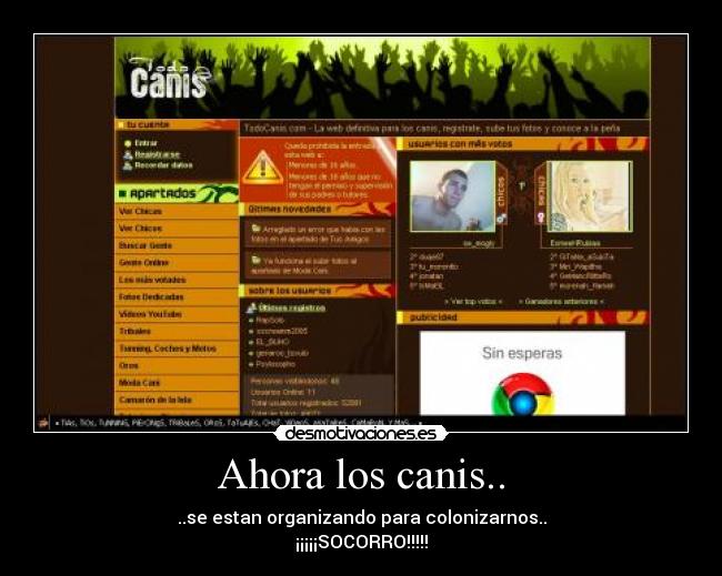 Ahora los canis.. - 