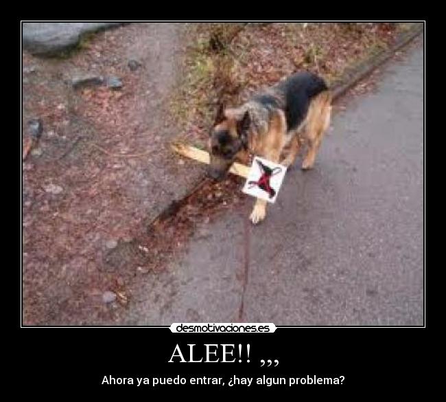ALEE!! ,,, - Ahora ya puedo entrar, ¿hay algun problema?