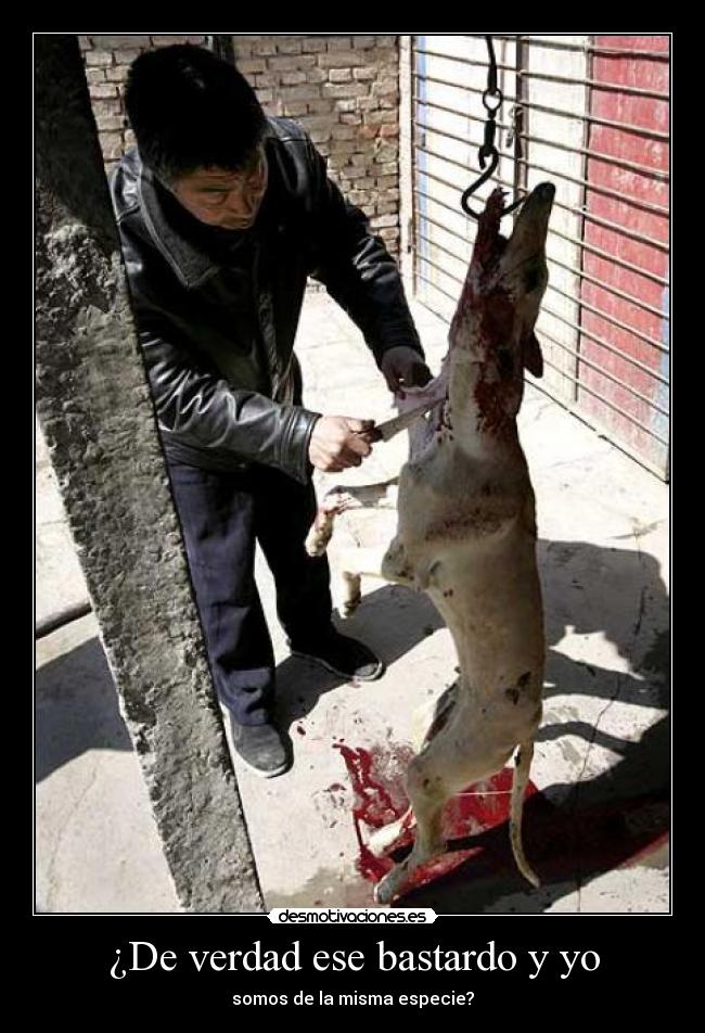 ¿De verdad ese bastardo y yo - 