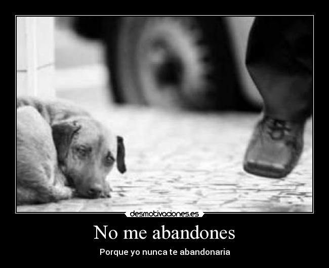 No me abandones - 