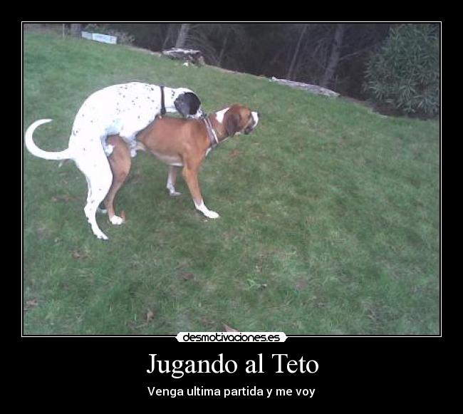 Jugando al Teto - 
