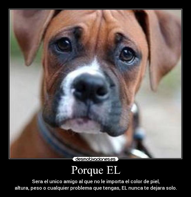 Porque EL - Sera el unico amigo al que no le importa el color de piel,
altura, peso o cualquier problema que tengas, EL nunca te dejara solo.