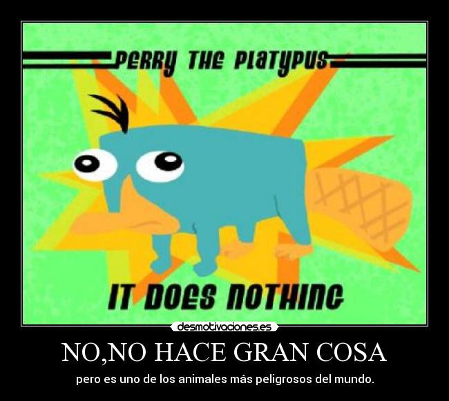 NO,NO HACE GRAN COSA -