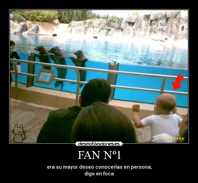 FAN Nº1 -