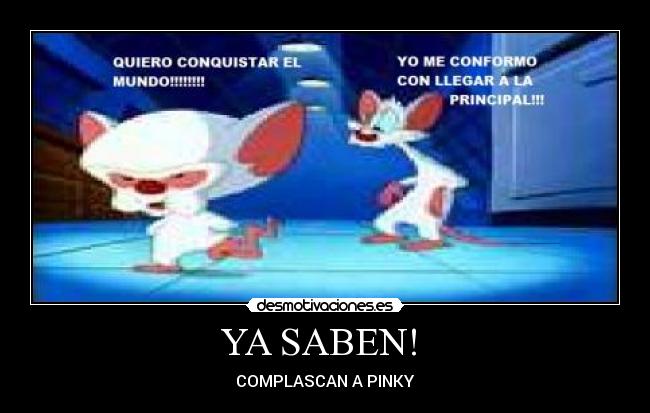 YA SABEN! - COMPLASCAN A PINKY