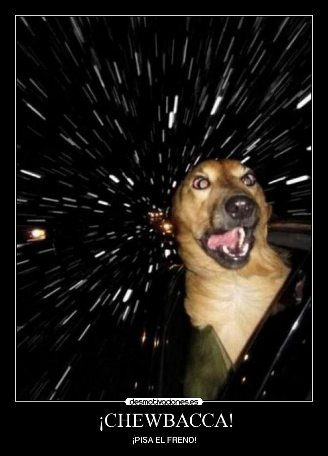 ¡CHEWBACCA! -