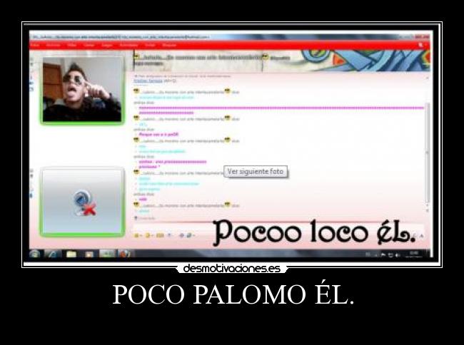 POCO PALOMO ÉL. -