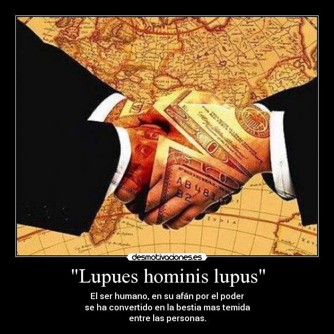 Lupues hominis lupus - 
