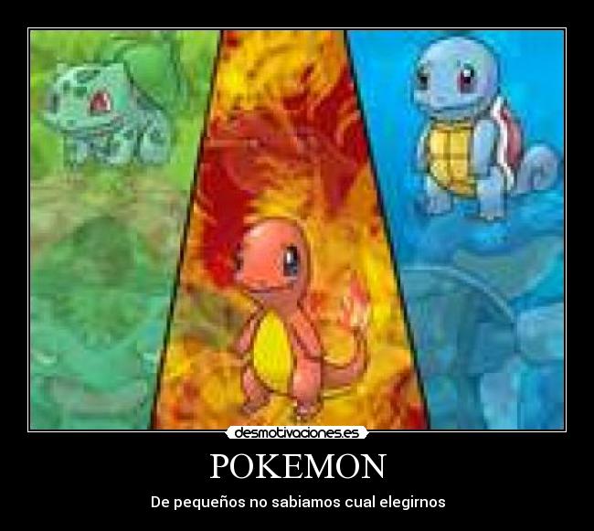 POKEMON - 