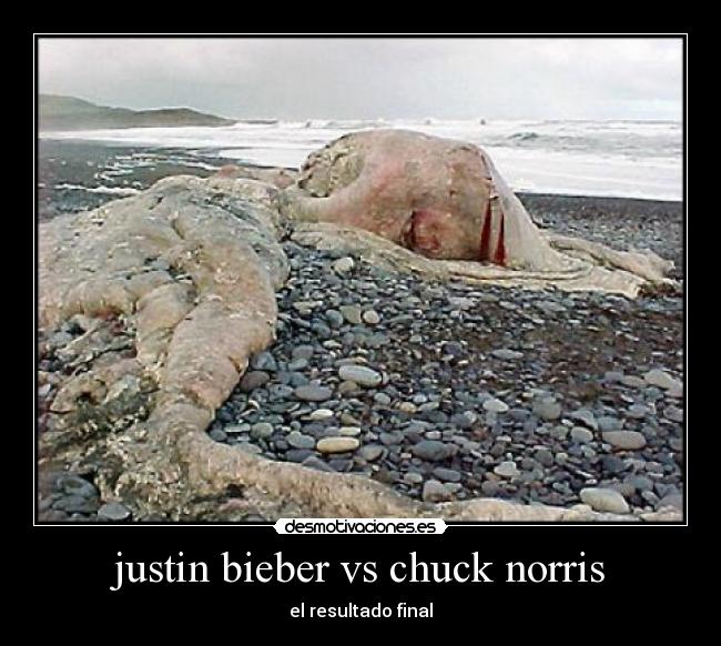 justin bieber vs chuck norris -