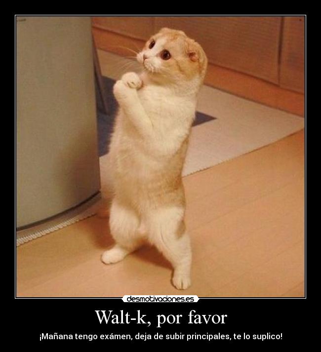 Walt-k, por favor -