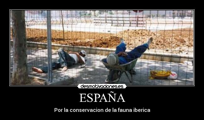 ESPAÑA - Por la conservacion de la fauna iberica