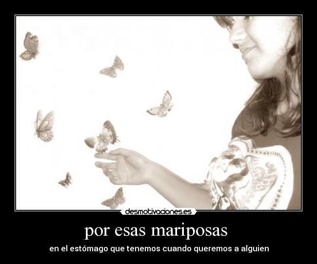 por esas mariposas  - 