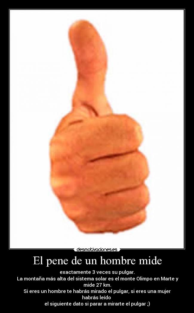 El pene de un hombre mide - exactamente 3 veces su pulgar.
La montaña más alta del sistema solar es el monte Olimpo en Marte y mide 27 km.
Si eres un hombre te habrás mirado el pulgar, si eres una mujer habrás leído
el siguiente dato si parar a mirarte el pulgar ;)