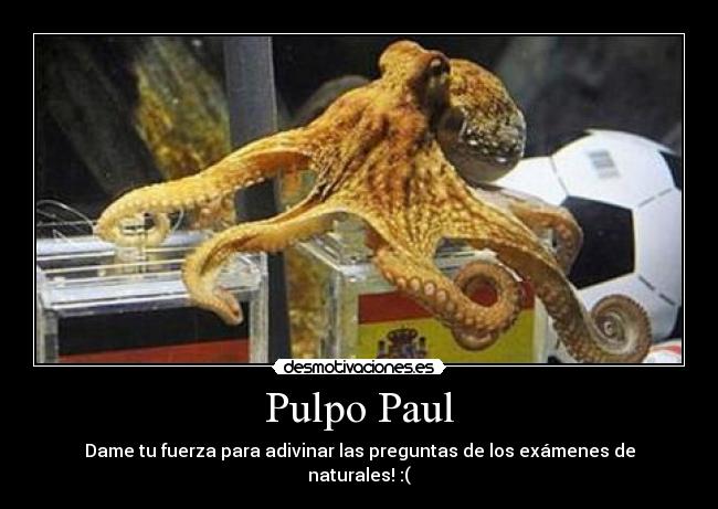 Pulpo Paul -