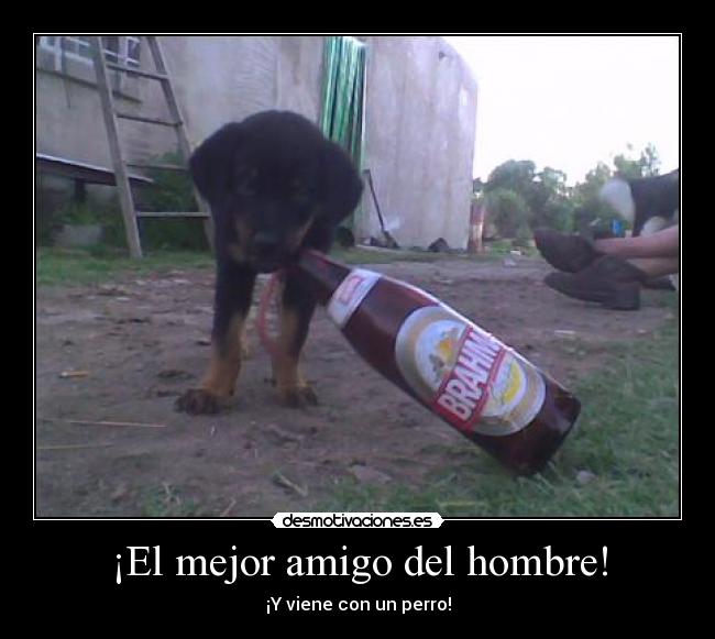 ¡El mejor amigo del hombre! -