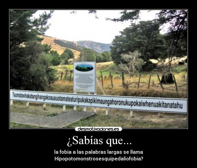 ¿Sabías que... - 