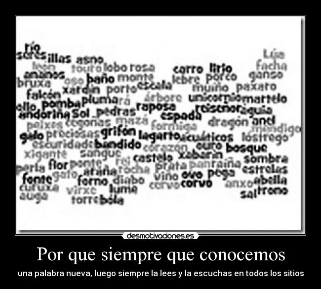 Por que siempre que conocemos - una palabra nueva, luego siempre la lees y la escuchas en todos los sitios