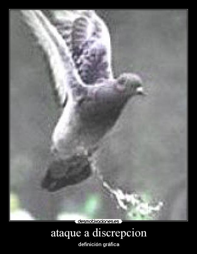 carteles oxerden desmotivaciones