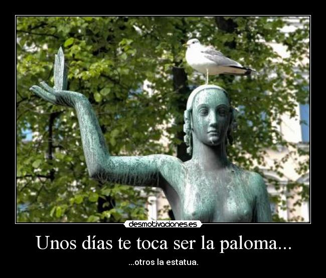 Unos días te toca ser la paloma... - 