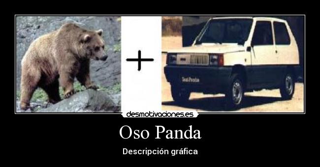 Oso Panda - Descripción gráfica