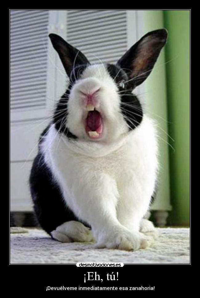 ¡Eh, tú! - ¡Devuélveme inmediatamente esa zanahoria!