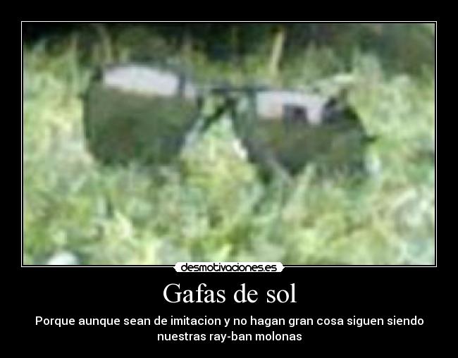 Gafas de sol -