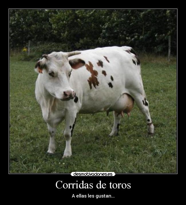 Corridas de toros - A ellas les gustan...
