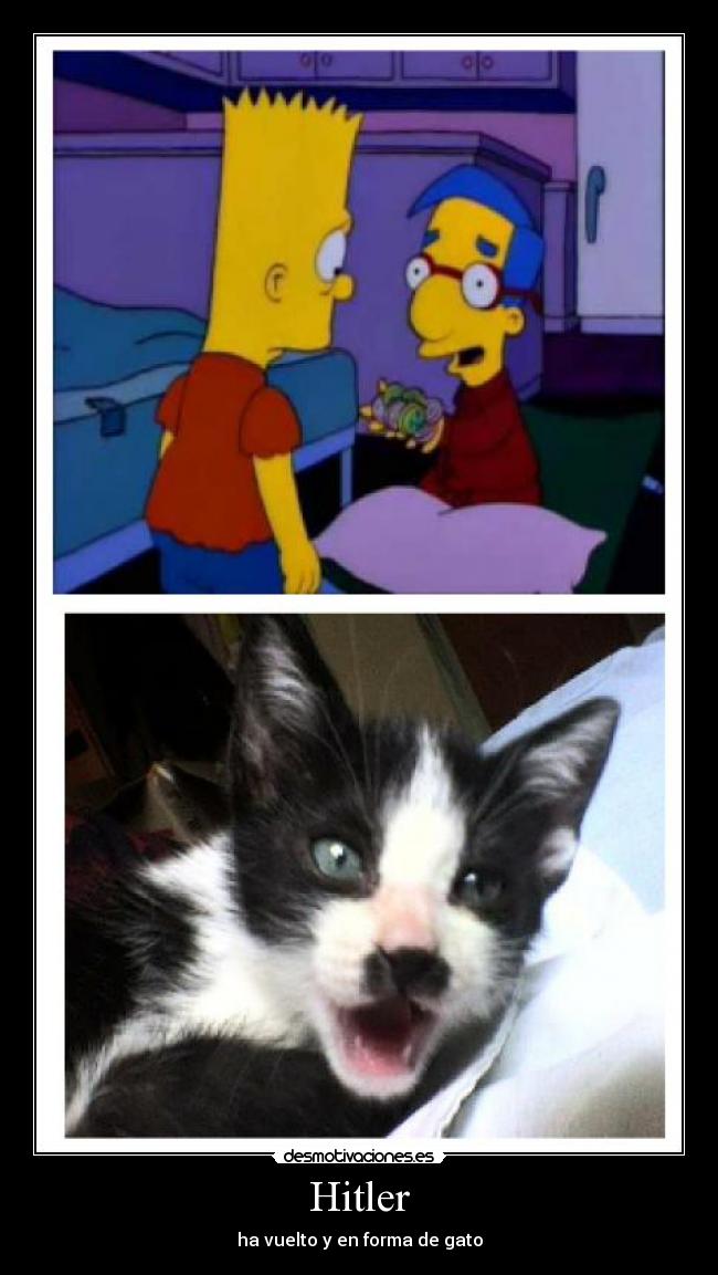 Hitler - ha vuelto y en forma de gato