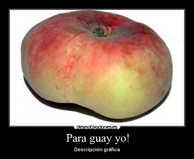 Para guay yo! - Descripción gráfica