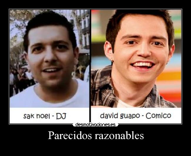 Parecidos razonables - 